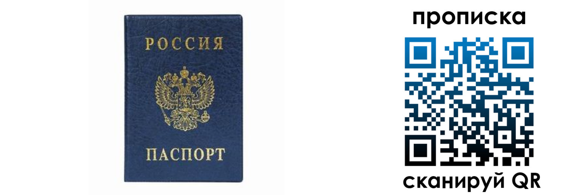 временная регистрация поиск в Курске